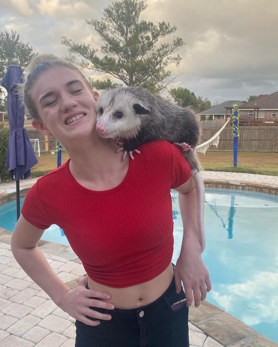 HaileyGreen122's tweet photo. I love Henry!! 🤍 And he loves me!!
#possum #music #musician #downtime #haileygreen #homesweethome #timeflies #lovelife https://t.co/udT0xzaHIY