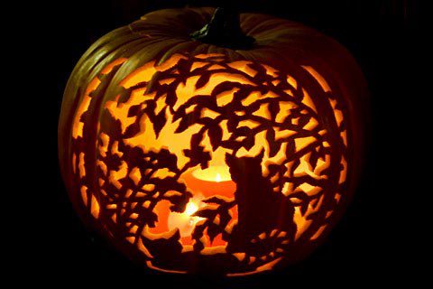 I_Love_Cats2014's tweet photo. #AutumnVibes #AutumnColors #autumn #autumndisplay #Halloween #Halloween2022 #halloweendecor #jackolantern #lit https://t.co/lwJsK4zAE6