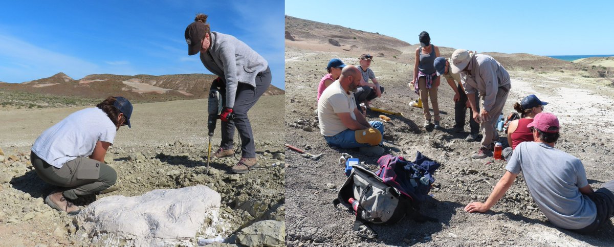 Phil Mannion tweet media