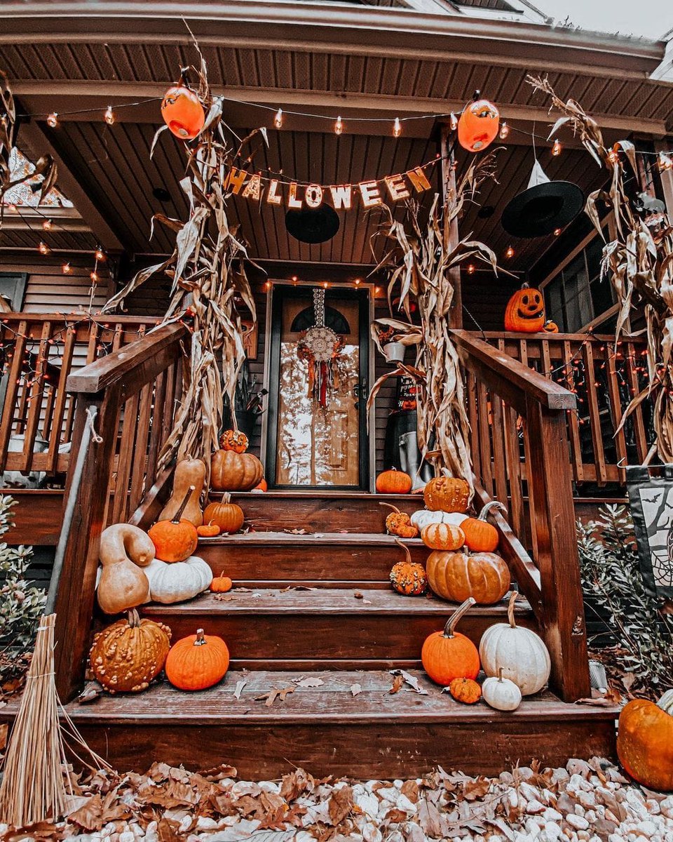I_Love_Cats2014's tweet photo. #AutumnVibes #AutumnColors #autumn #autumndisplay #Halloween #Halloween2022 #halloweendecor #PumpkinDay #pumpkins https://t.co/N2e2UA4dNc