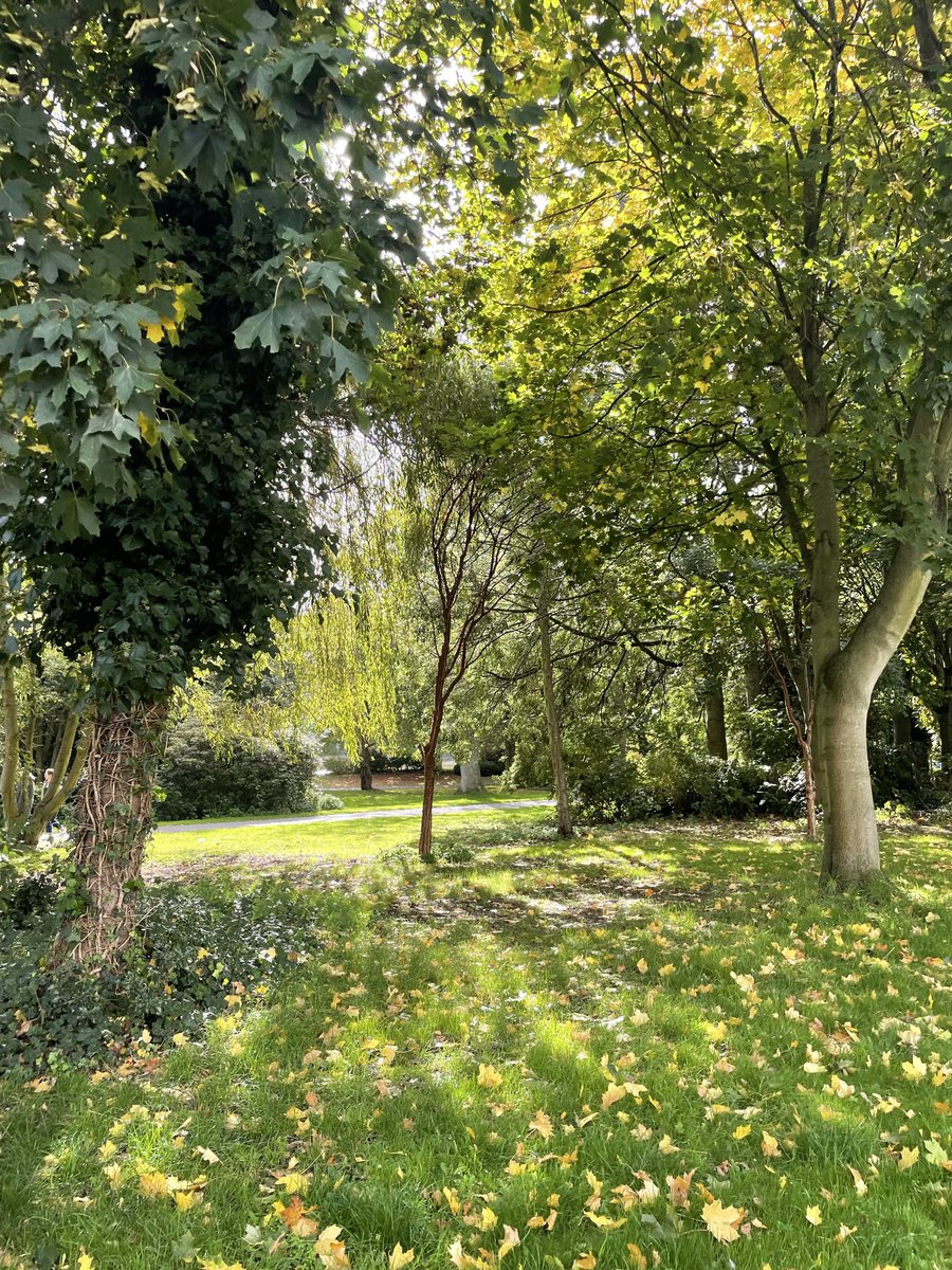 IzzyFinch's tweet photo. Each Thursday at #SpringBankPavilion in Leazes Park we are hosting free print making workshops with wonderful artist Pui🍁🍂🪵 for more info email izzy@gemarts.org @GemArtsuk @urbangreenncl @NewcastleHosps https://t.co/SIopkHxsUK