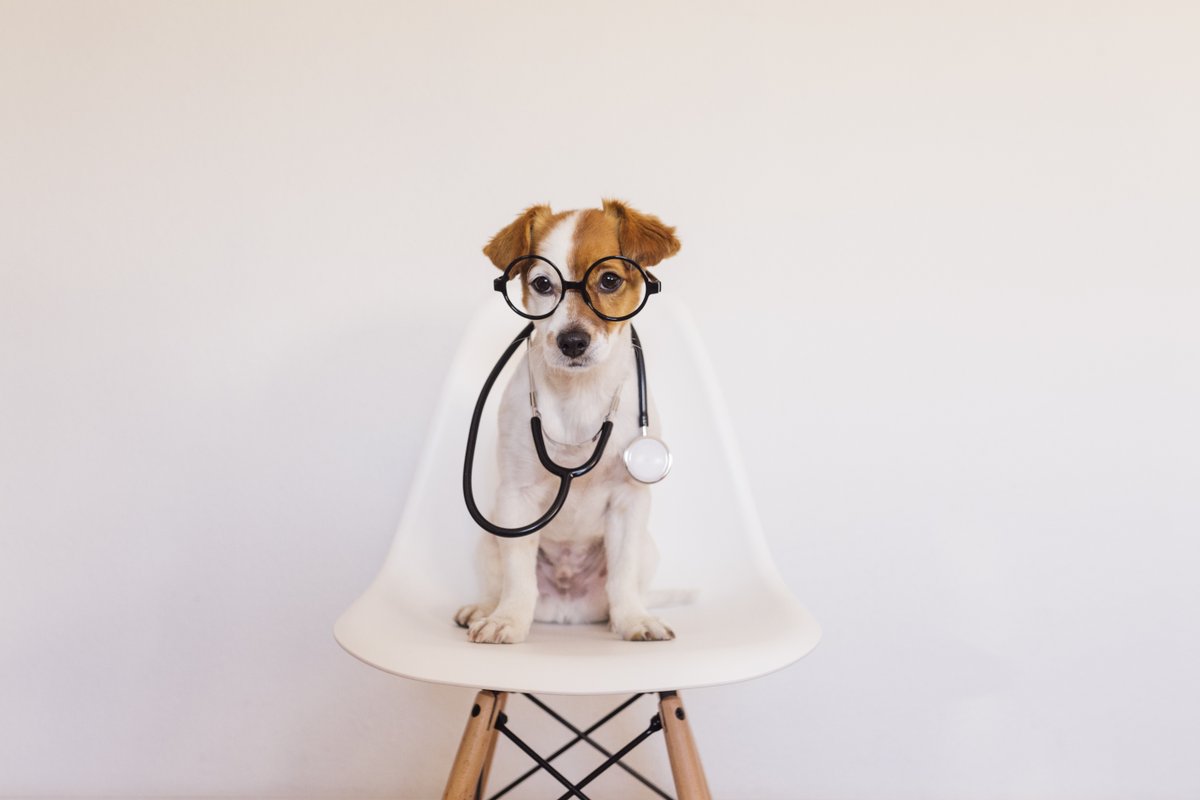 Tweet by NC State Vet Medicine