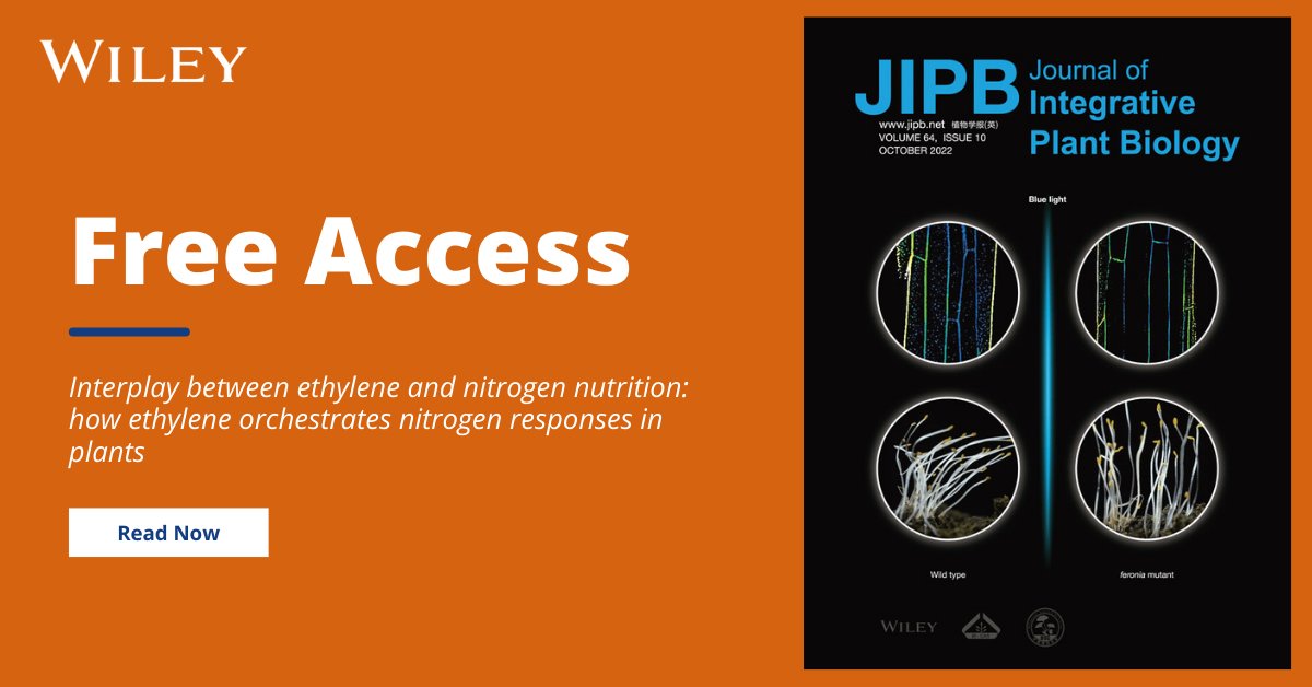 Wiley Plant Science (@wileyplantsci) on Twitter photo #Ethylene, otherwise known as the stress hormone, plays a key role in plant adaptation to adverse environmental conditions. 🔑
🔓 Read more about how ethylene orchestrates nitrogen responses in plants in this #FreeAccess <a href="/JIPBio/">JIPB</a> mini review >>> ow.ly/P9vt50Lkn5N #Ethylene, otherwise known as the stress hormone, plays a key role in plant adaptation to adverse environmental conditions. 🔑
🔓 Read more about how ethylene orchestrates nitrogen responses in plants in this #FreeAccess <a href="/JIPBio/">JIPB</a> mini review >>> ow.ly/P9vt50Lkn5N