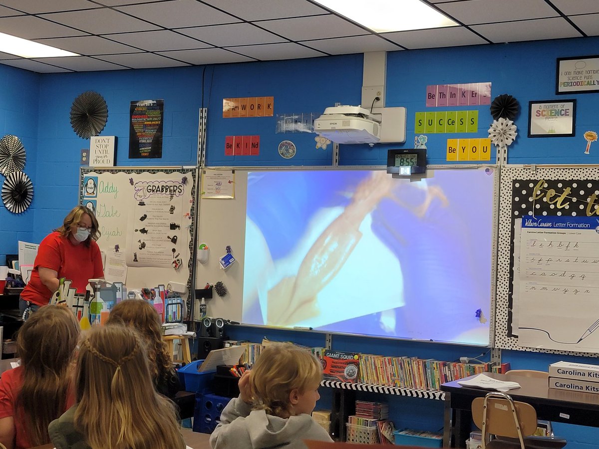 Making connections between W&amp;W lessons and science. Student engagement and questioning learners at its best!  @jhesson83 <a href="/scottlangford72/">Scott Langford</a> <a href="/sumnerstem/">@SumnerSTEM @SumnerSTEAM</a> @trenadyf