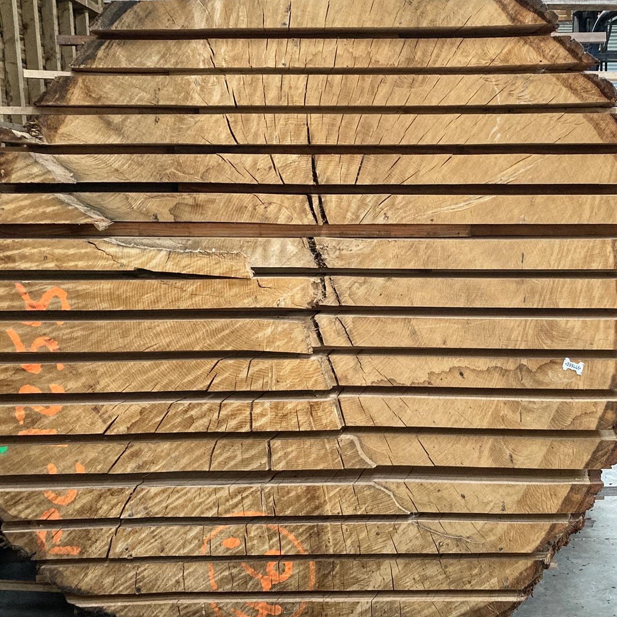 cockingsawmills's tweet photo. There's Oak, & then there's Oak that's bigger than your forklift. These boules were cut from the same enormous tree - felled out of necessity, now safely air drying undercover. They're going to make beautiful #growninbritain #oakboards #itstartswiththetrees #workwithwood https://t.co/2rd5VRmXLj