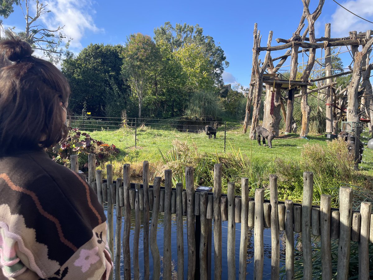 Hey there! 

Been a bit absent trying to relax during my week off work. Also always get conveniently sick when I’m off 🤒 

…Went to the zoo with <a href="/hinshey/">hinshey</a> on Monday though💖