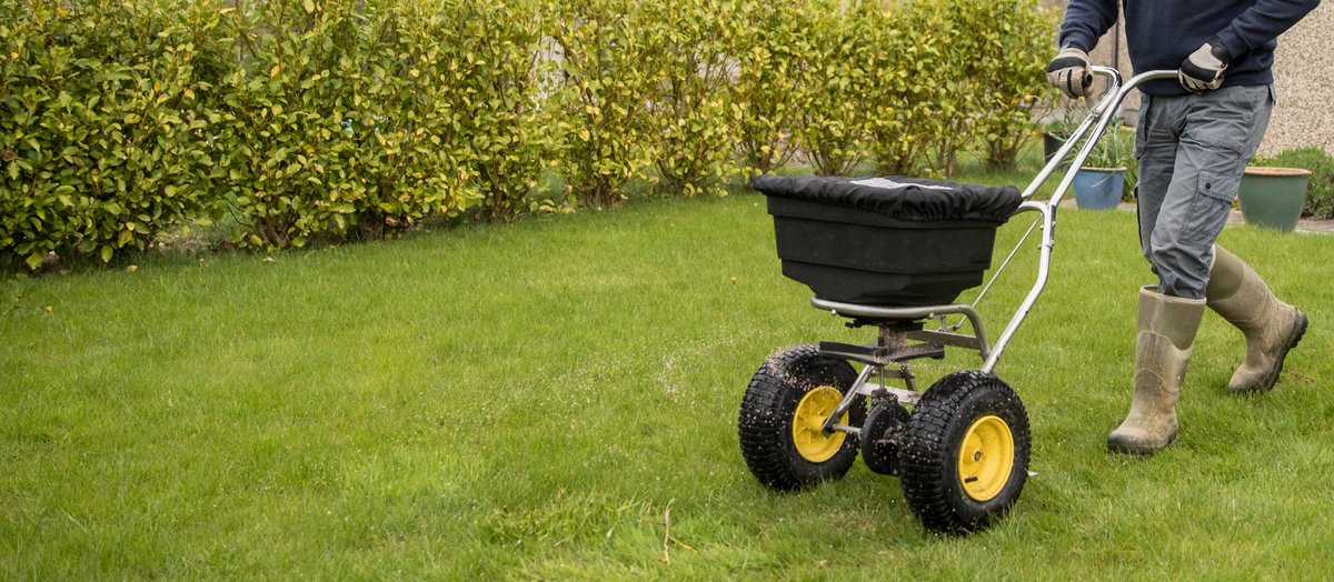 TurfKingLawn's tweet photo. As the weather begins to cool, your lawn will slow its top growth while the roots will continue to actively grow. A fall fertilizer application should be applied at the right time, when the plants... more at https://t.co/igamYblcQo https://t.co/vNx0BNWEIB