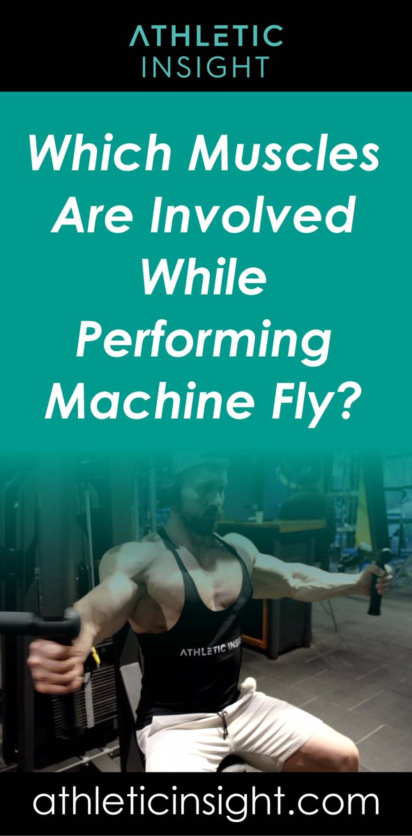 AthIeticInsight's tweet image. Which Muscles are involved while Performing Machine Fly?

➡️athleticinsight.com/exercise/chest…

#pecfly #fitness #chestworkout #chestday #athleticinsight