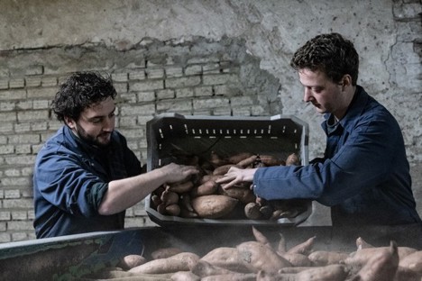 "Met prachtige Nederlandse zoete aardappelen is importeren toch te gek voor woorden"
agf.nl/article/947215…