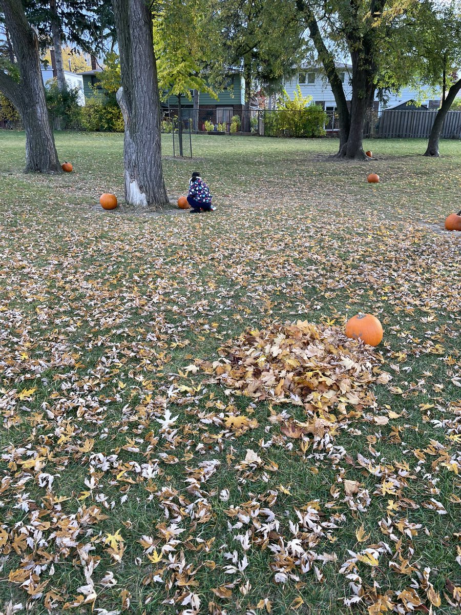 Ms. Cook tweet media