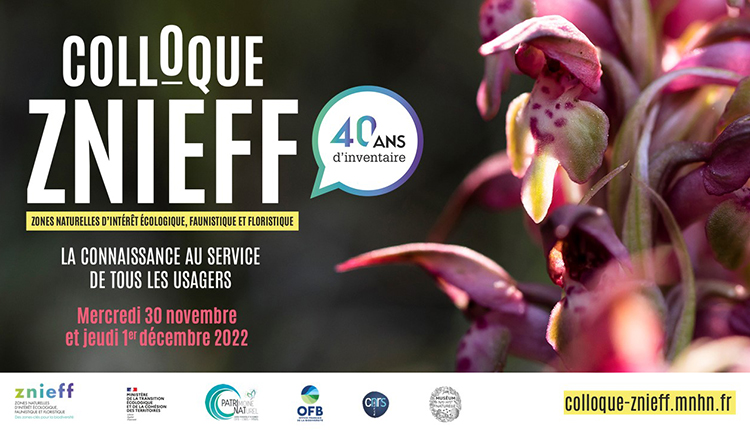 #Colloque national des 40 ans de l'#inventaire des #Znieff, 30 novembre-1er décembre 2022, Paris Ne manquez pas cet événement gratuit pour tous les usagers : les inscriptions sont ouvertes, il reste des places ! patrinat.fr/fr/agenda/coll… colloque-znieff.mnhn.fr/ouverture-des-… @OFBiodiversite