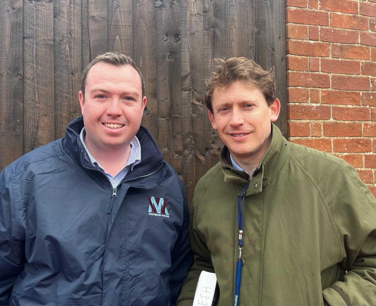 rpbloodstock's tweet photo. 🗣️ "Joe’s industry experience and superb communication skills will be a great asset to our clients, and I cannot wait for him to start. He’s going to be busy!"

Joe Callan announced as head of bloodstock and sales at Whitsbury Manor Stud 👉 https://t.co/IfXnuP6ZKg https://t.co/fsyHU9bgN2