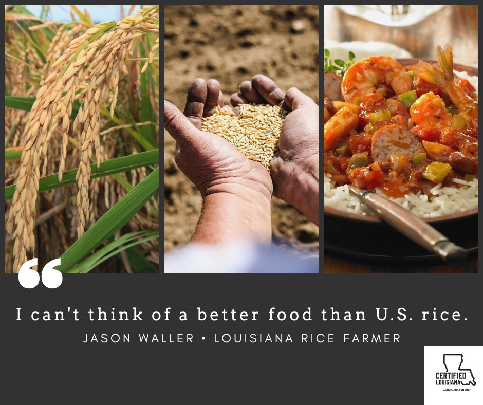 Think_Rice's tweet photo. American rice farmers grow a safe, healthy, affordable crop that's gluten free, w/o GMOs, in a clean, conservation-rich environment. No matter what you're cooking up, there's no better food that would check all those boxes than U.S. rice. #USAGrown #ThinkRice #CertifiedLA π https://t.co/8c0V2Sygh5