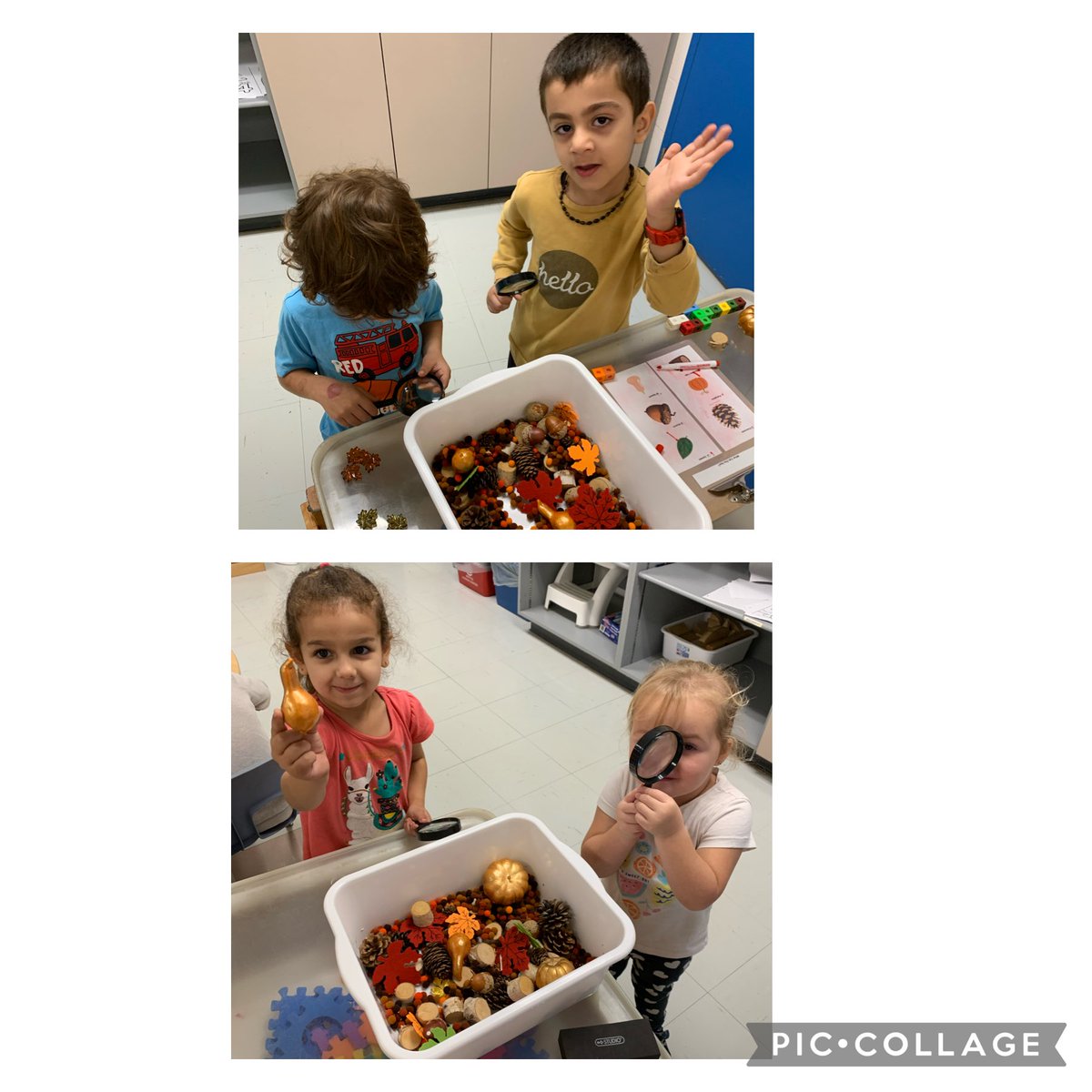 MsAlberelli's tweet photo. Exploring our fall sensory bin this morning! ⁦@gecdsbpro⁩ https://t.co/obFksusj7E