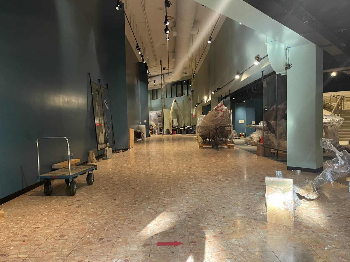 Julia Wright tweet media