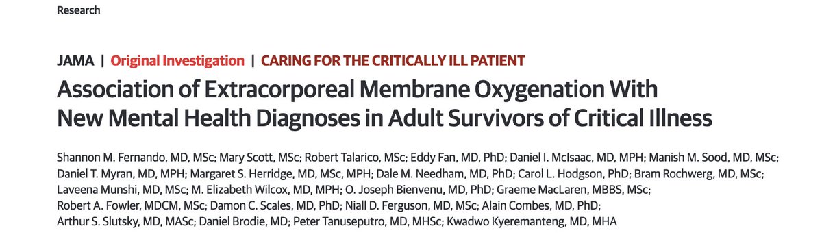 Shannon Fernando tweet media