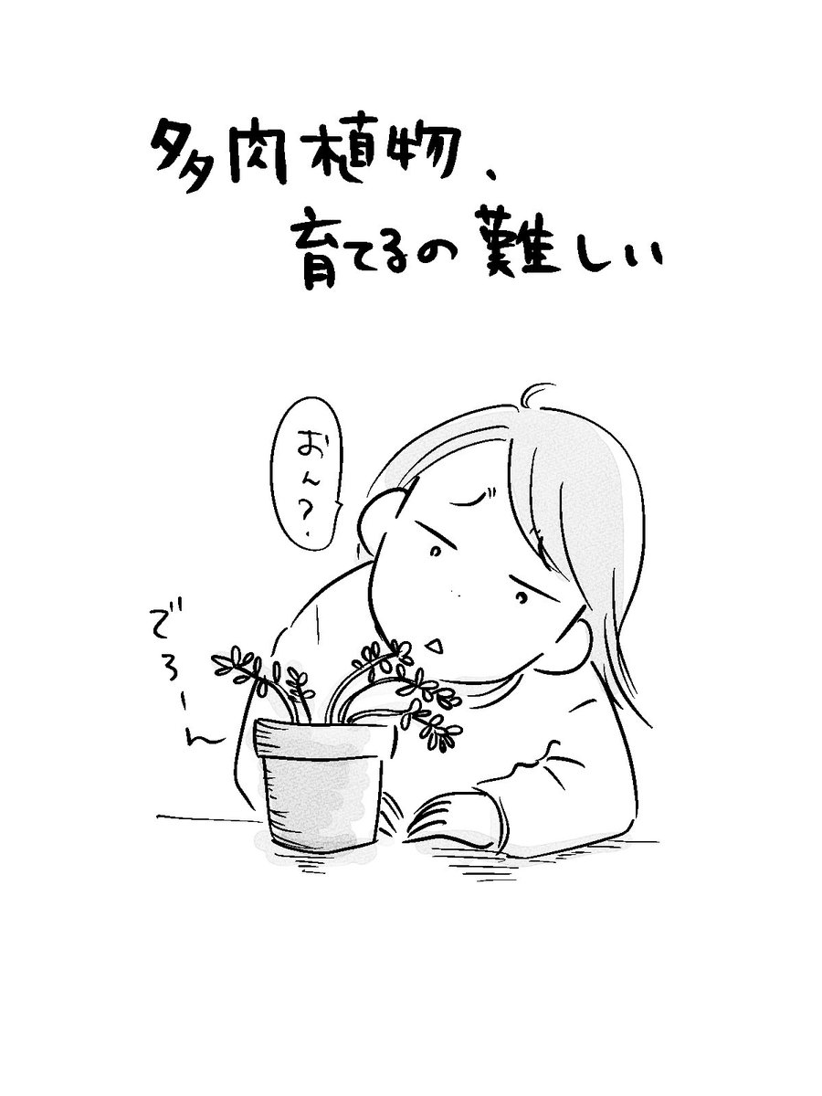 寝る前のどうでもいい報告 