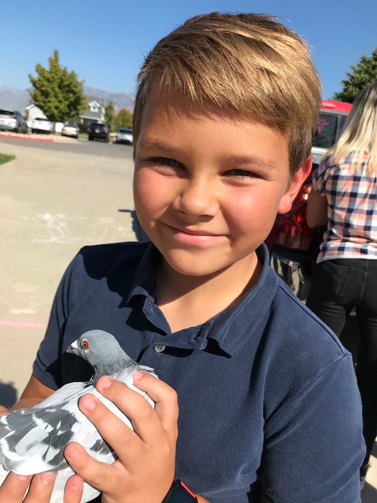 PromontoryEL's tweet image. As part of Promontory's 3/4 expedition "Saving our Species" students studied the passenger pigeon, and their plight to extinction. 

#ellearning #promontoryschool #handsonlearning #expedition