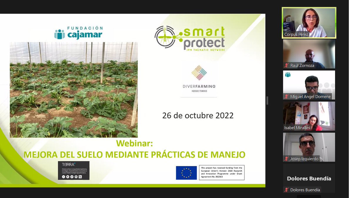 Mostrando los principales beneficios de la diversificación de cultivos sobre el #suelo en el webinar "Mejora  del suelo mediante prácticas de manejo" organizado por <a href="/SmrtPROJECT/">SmartPROJECT</a> en colaboración con <a href="/diverfarmingES/">Diverfarming España</a> . <a href="/CEBAS_SWC/">CEBAS SWC</a> <a href="/UCCi_UPCT/">UCC+i UPCT</a>