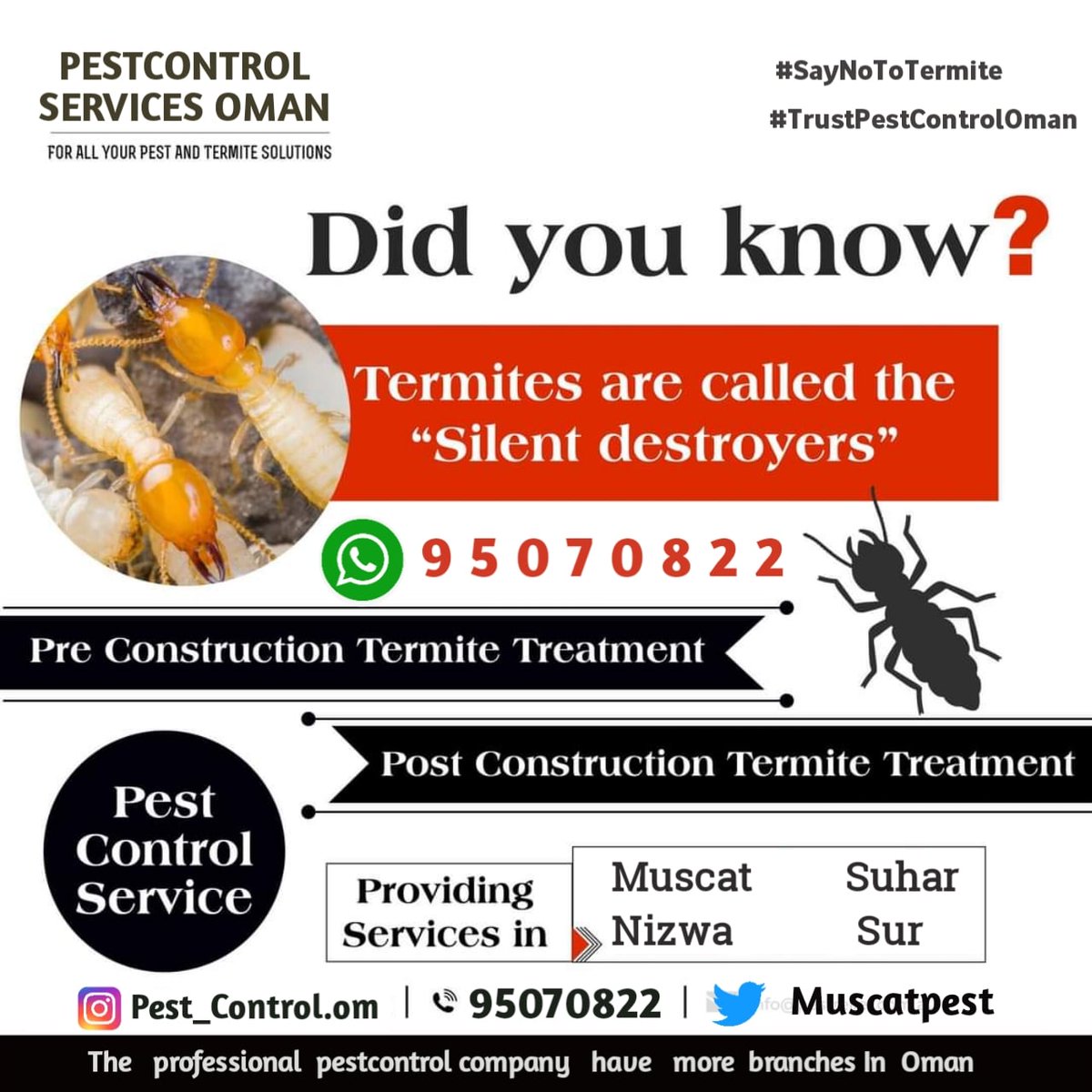 MuscatPest's tweet image. Anti Termite rummah control we offer 5 to 10 year&apos;s warranty.
free inspection call us.100% guarantee service .
#termitecontrol #rummah #termiteproblem #termites #termitecontrol #nearmesanization #nearmepestcontrol #nearmyhouse #Near #nearmylocation #bestincity 
#pestcontrolmuscat