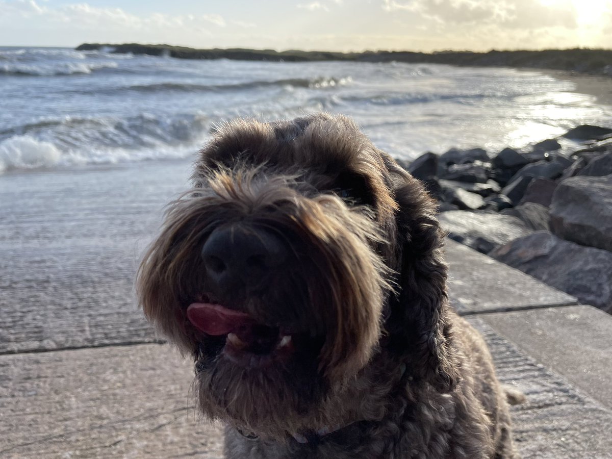 Jenny Grant tweet media