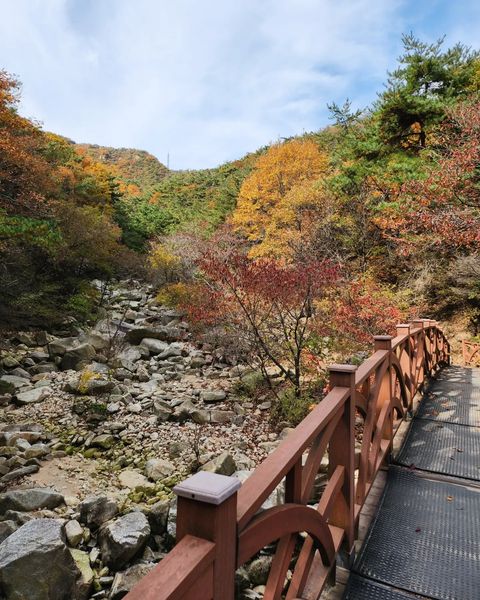 phocaive_tour's tweet photo. 2022.10.26 RM Instagram
🇰🇷 관악산, 연주암
📍 경기 과천시 중앙동
👉 방탄덕후투어 모두보기
https://t.co/UfUa2rGDoV
#남준 #RM #Namjooning
#BTS #BTS_TOUR #BTStravel #BTStrip #방탄투어 #포카이브 #phocaive https://t.co/vpdw58jrMQ