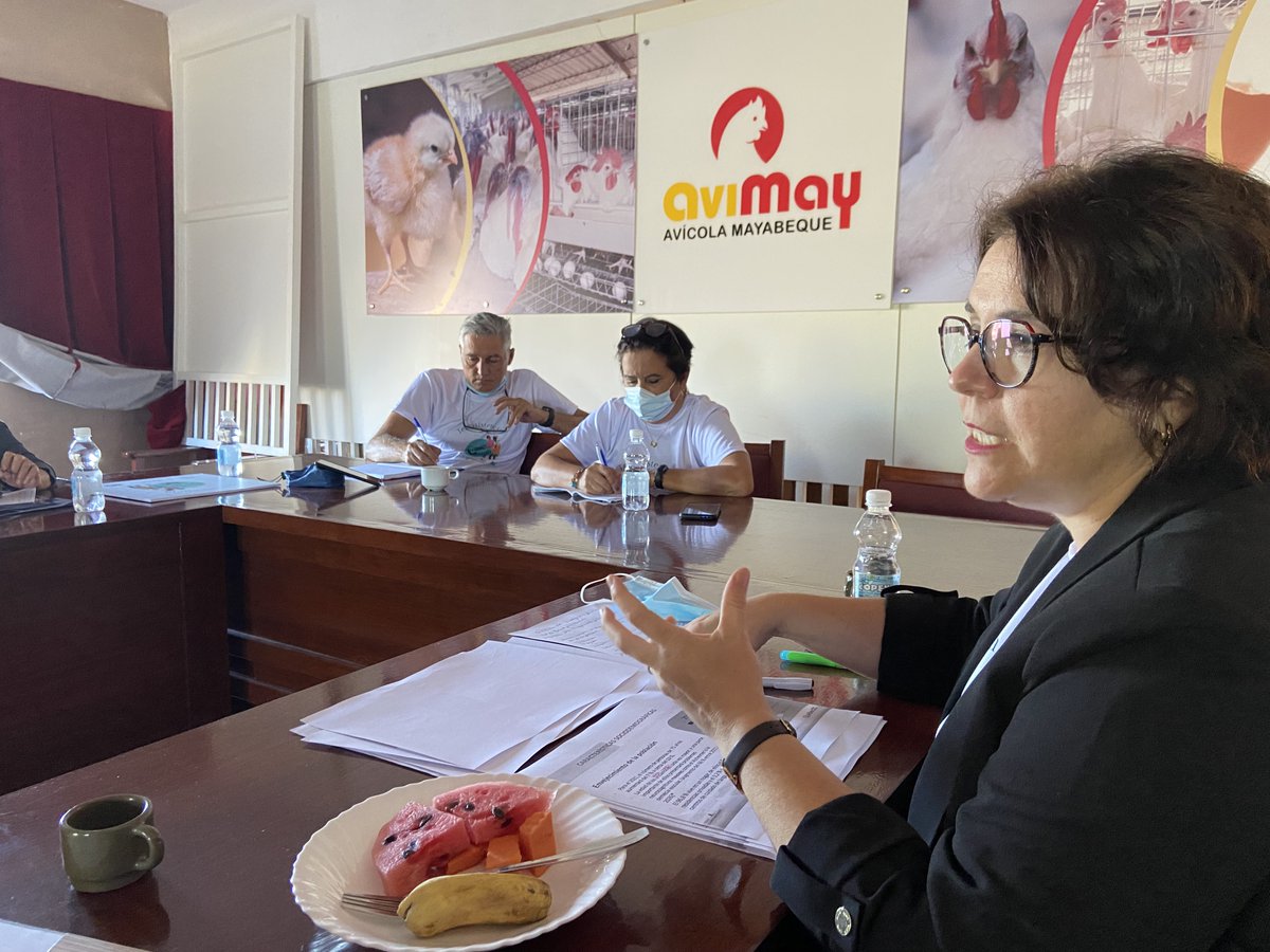 QuebecCuba's tweet photo. La directora interina de servicios para adultos mayores y para sus cuidadores del @sante_qc está de visita en #Cuba promoviendo el proyecto de asistencia telefónica para los adultos mayores con el @opscuba y el @MINSAPCuba. 🇨🇺 https://t.co/XRQa0CB5QJ