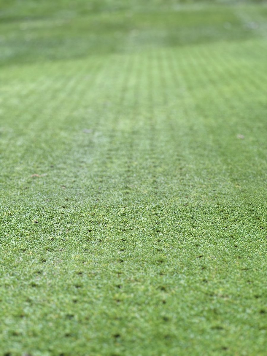 You can go 1-2 months without eating, you can go roughly 3-4 days without water. Air on the other hand you’ve got about 2-3 minutes. That my fellow golfers is why your greenstaff put holes in the greens 🤝👏👍 #itsgonnabeabumpyride #aeration #letthembreathe <a href="/MaestegGreens/">Maesteg greens</a>