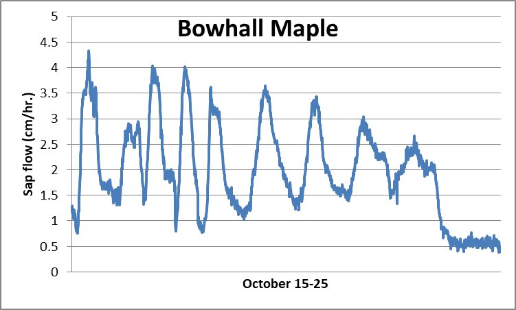 The Bowhall Maple’s average daily sap flow this month was ~3 cm/hr. Sap flow has dramatically slowed in the past few days as the final leaves fall and the tree goes into dormancy for the winter. 🍁❄️ #data #dataScientist #fall #weather #trees #foliage #phenology