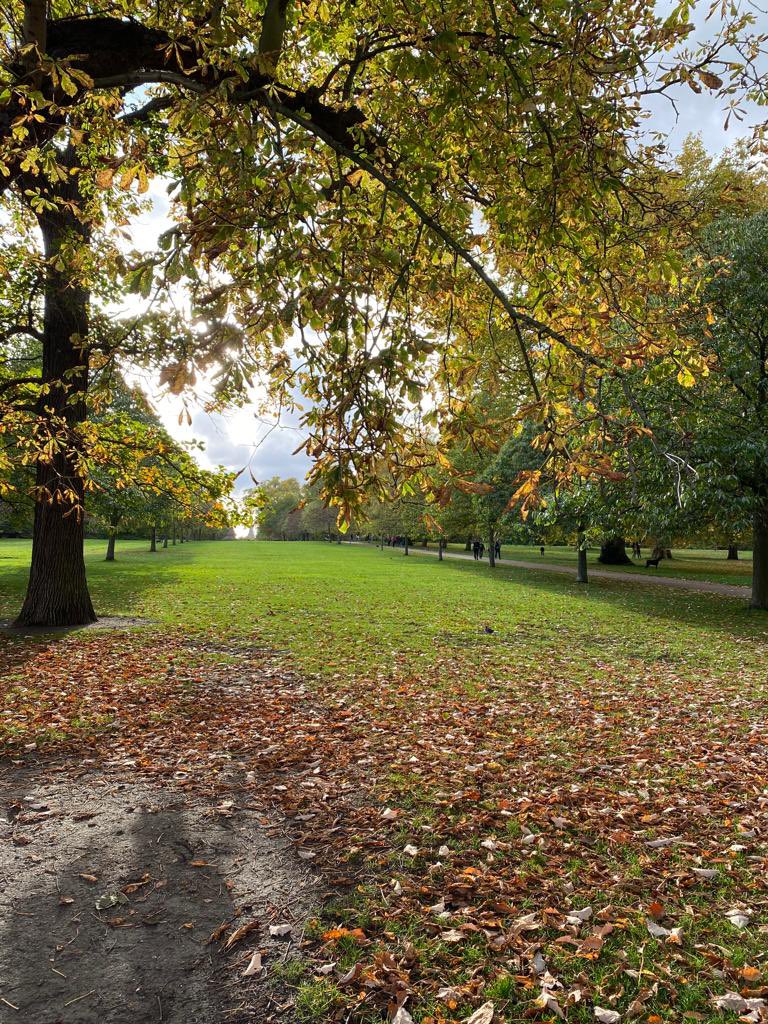 willoxamy's tweet photo. How can #FSC certification support the responsible management of urban forests, parks and trees? Trip to London with colleagues this week to discuss! https://t.co/0KCs8mnM2e