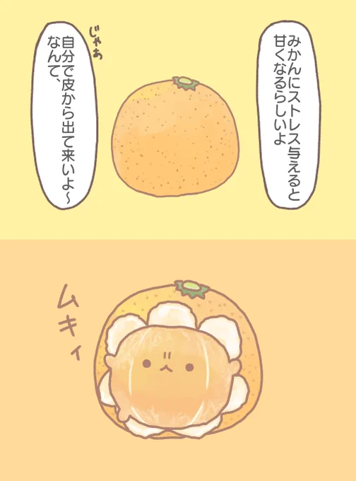 むきむきみかん 