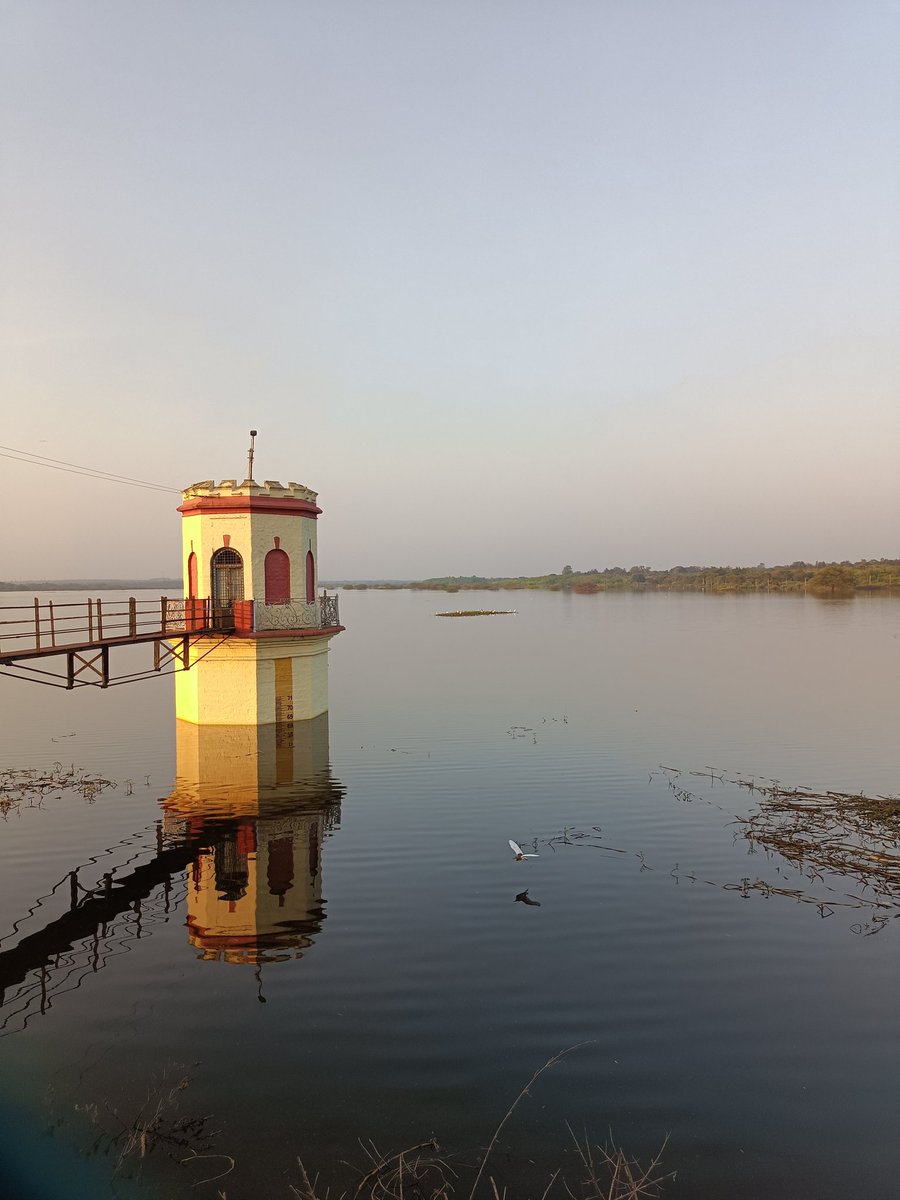 nkhsocial2015's tweet photo. Hesaraghatta lake is just couple of feet short of reaching full capacity. Only magical spell during NEM can fill this gap or wait till next year monsoon events. As of now it's quite majestic to watch this brimming fresh water lake #hesaragattalake #hesaragatta #Bangalore https://t.co/cqawYtJxsq