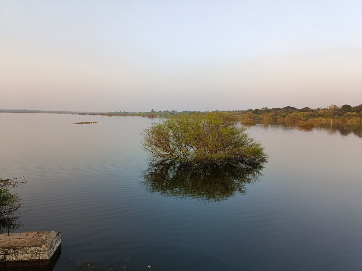 nkhsocial2015's tweet photo. Hesaraghatta lake is just couple of feet short of reaching full capacity. Only magical spell during NEM can fill this gap or wait till next year monsoon events. As of now it's quite majestic to watch this brimming fresh water lake #hesaragattalake #hesaragatta #Bangalore https://t.co/cqawYtJxsq