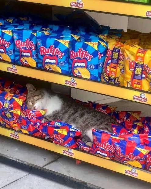 imacbdegen's tweet photo. salgatinho https://t.co/48mMWbFT3e