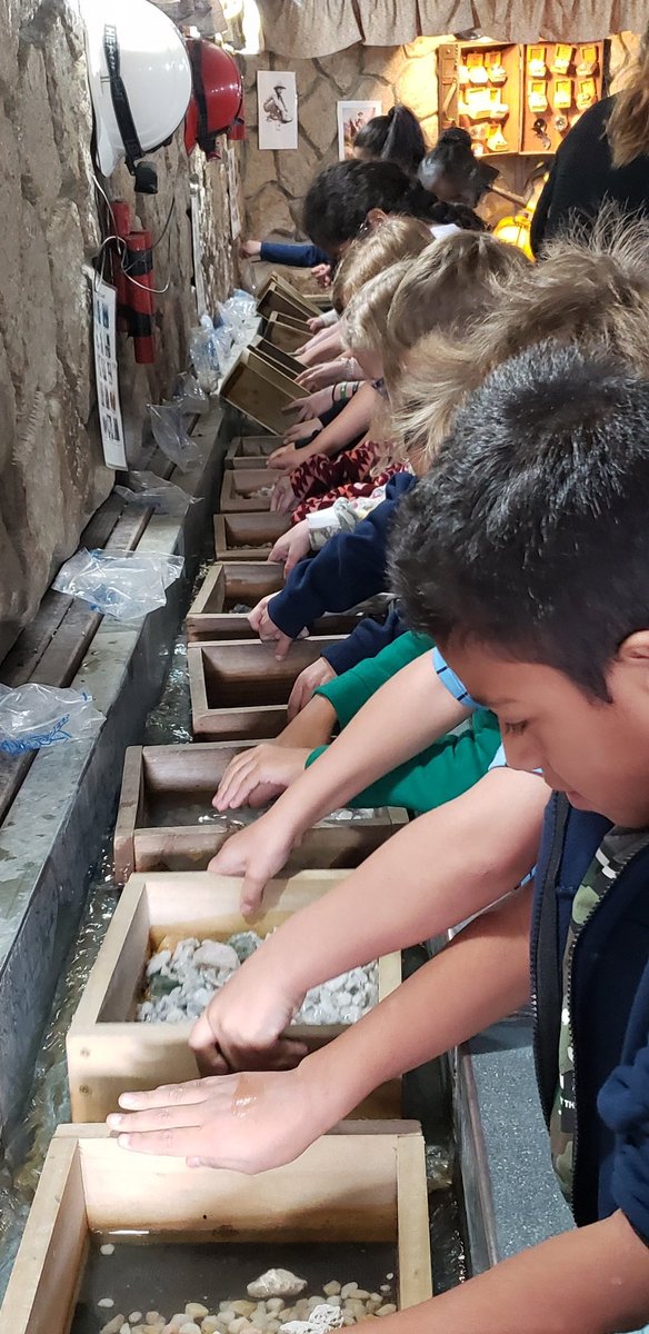 ccsd_wasdin's tweet photo. In-school field trip today with #DiamondDel. The Ss loved getting to mine for rocks and minerals. #ScienceTwitter #Science #rocksandminerals #rocks #geologists #thirdgrade @Bostonkidscount @CherokeeSchools @GaDOEScience https://t.co/4cwfYEJcL8