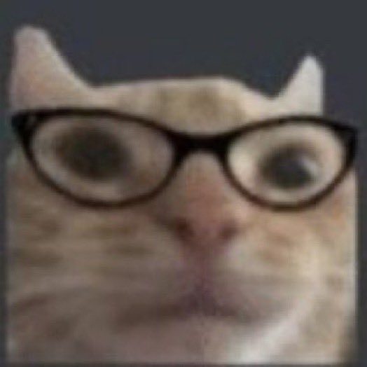 cats wearing glasses