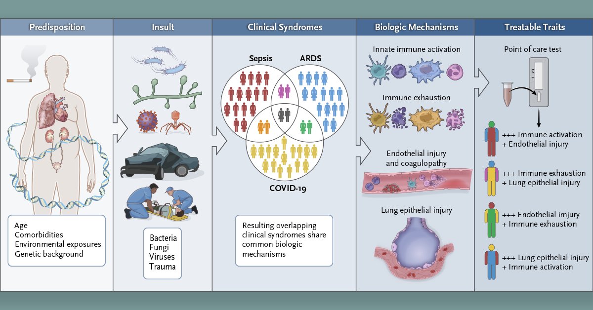 .@LeligdowiczA et al. consider the history and future of immunomodulating therapies in sepsis and #ARDS and explore the larger challenge of clinical research on therapies for syndromes with profound clinical and biologic heterogeneity. eviden.cc/3gzcks0 #CritCare