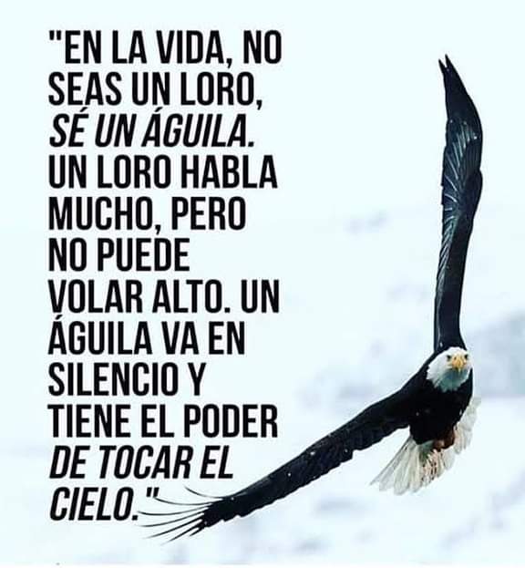 Alicia de Flores (@aliciadeflore) on Twitter photo 