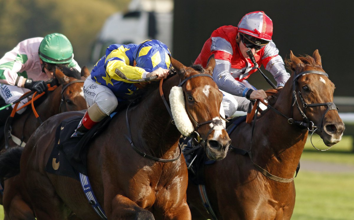 Kevin Philippart de Foy Racing (@kpfracing) on Twitter photo 💤☀️ DREAM BY DAY ☀️💤 🥇 WINS🥇 <a href="/NottsRacecourse/">Nottingham Racecourse</a> under a great ride from <a href="/Atzenijockey/">Andrea Atzeni</a> 👏 Congratulations to winning owners East 11 Limited 🥂👏 #teamkpf #winner #winningteam 💤☀️ DREAM BY DAY ☀️💤 🥇 WINS🥇 <a href="/NottsRacecourse/">Nottingham Racecourse</a> under a great ride from <a href="/Atzenijockey/">Andrea Atzeni</a> 👏 Congratulations to winning owners East 11 Limited 🥂👏 #teamkpf #winner #winningteam