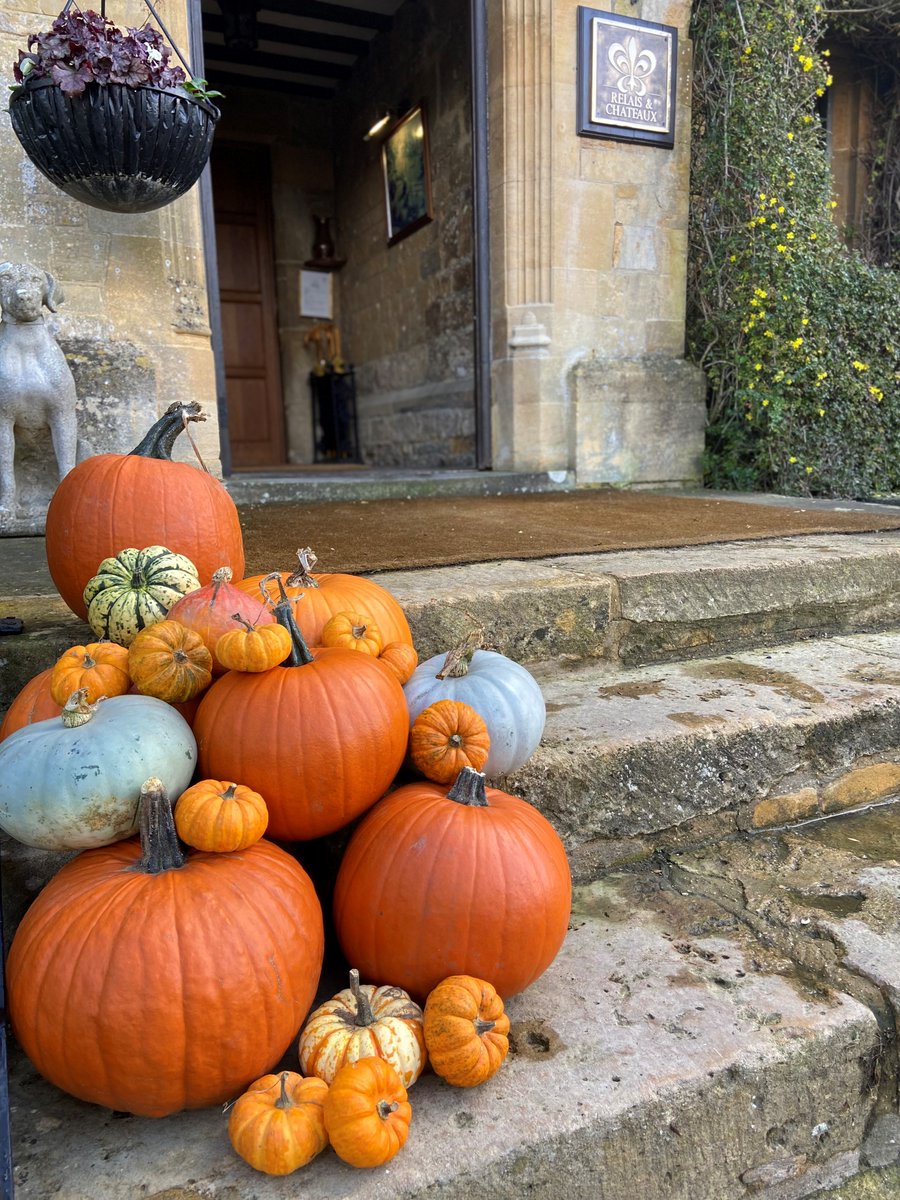 Buckland_Manor's tweet photo. Autumn leaves and pumpkins please!
Happy National Pumpkin Day!🎃

@Buckland_Manor @RelaisChateaux @BrownswordHotel 
#NationalPumpkinDay #Halloween #Autumn #LuxuryHotel https://t.co/w7jUIs7ycC