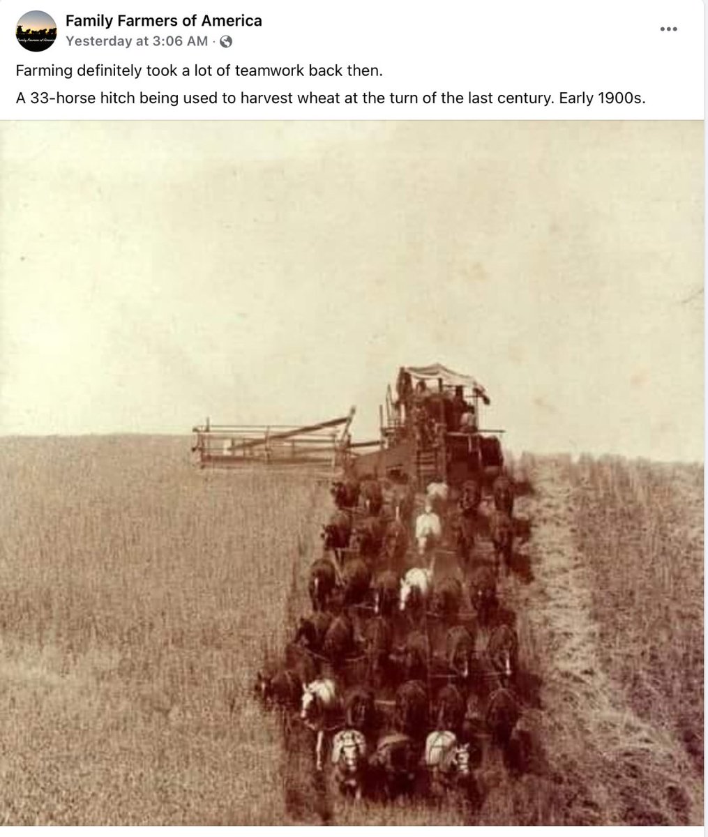 Absolutely incredible. Let us never forget our roots and the long, hard road it took to get to the farmscape as we know it today.