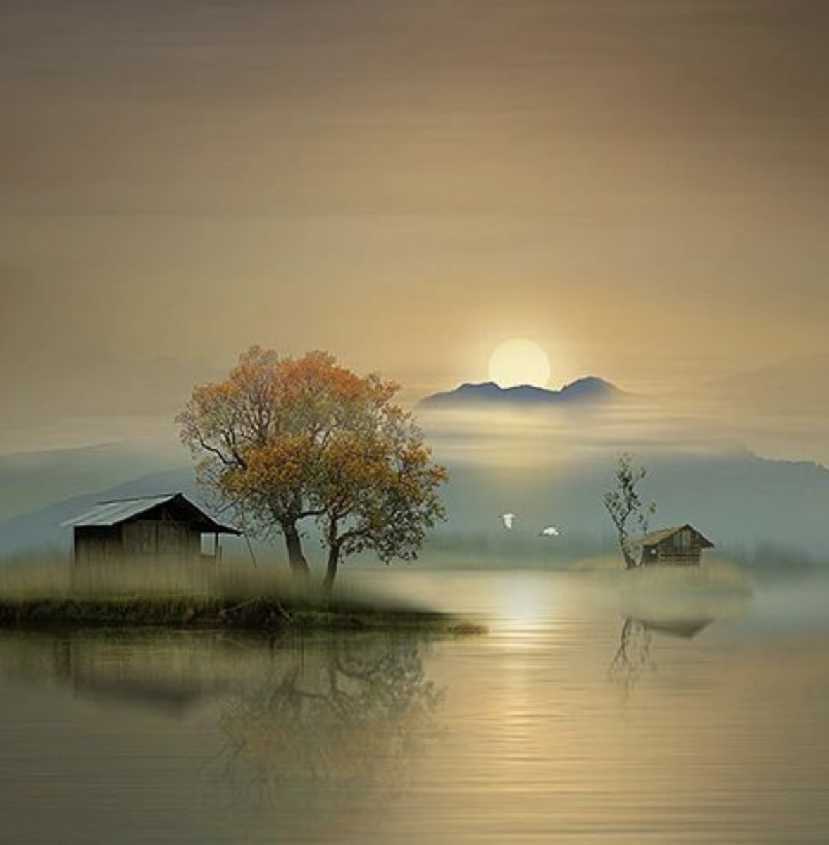 Ramblings tweet media