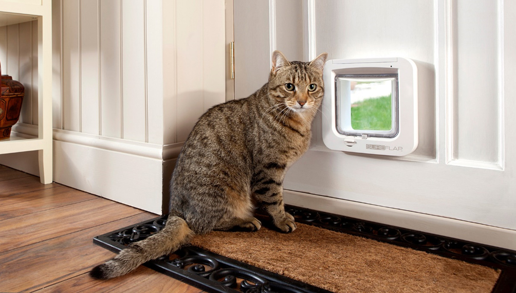 RealtorBincy's tweet photo. This microchip pet door can add to #homesafety. Check out this and more convenient #smarttech for pets here.  https://t.co/ataSebZzIn https://t.co/MgC7EAU7Gx