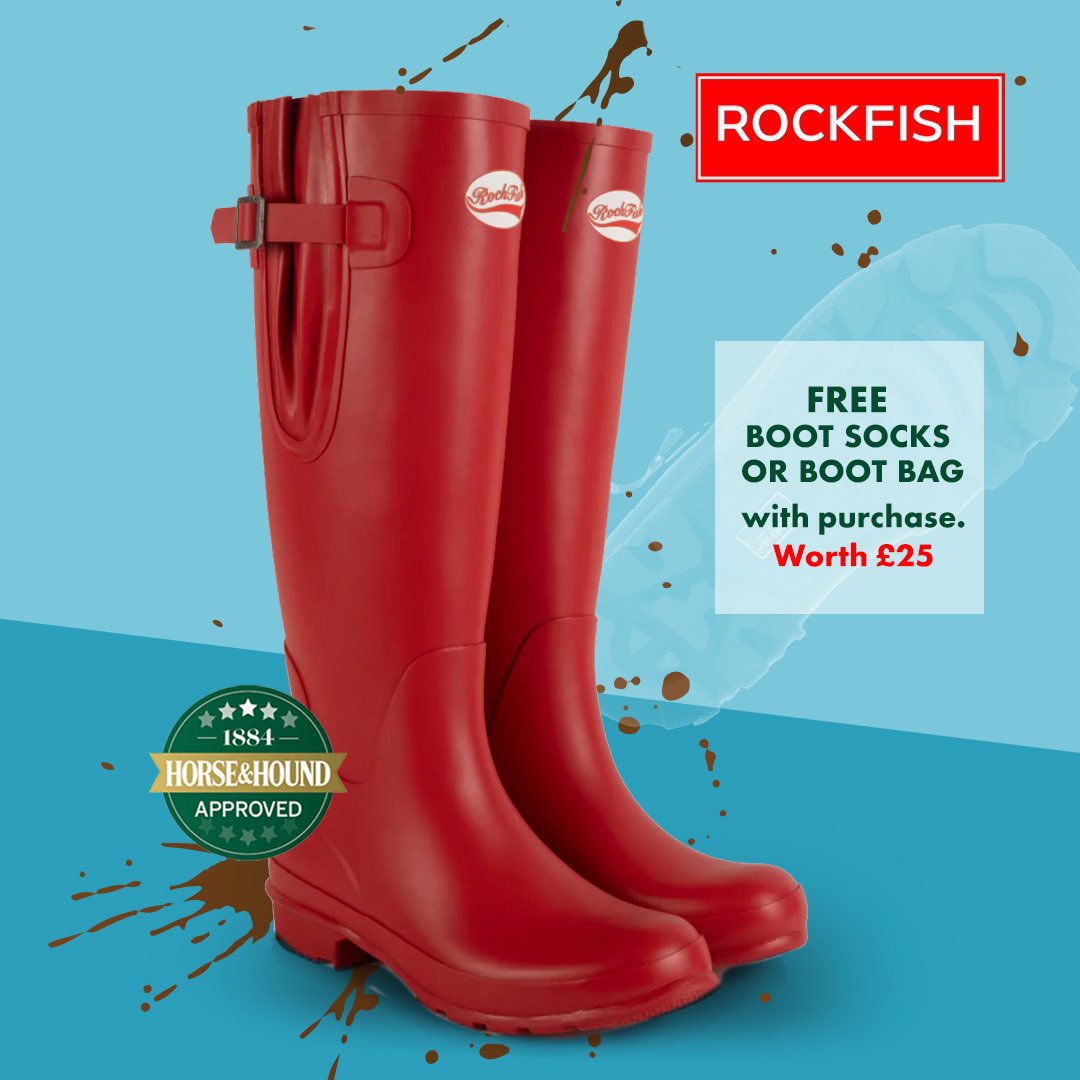 ROCKFISH tweet media