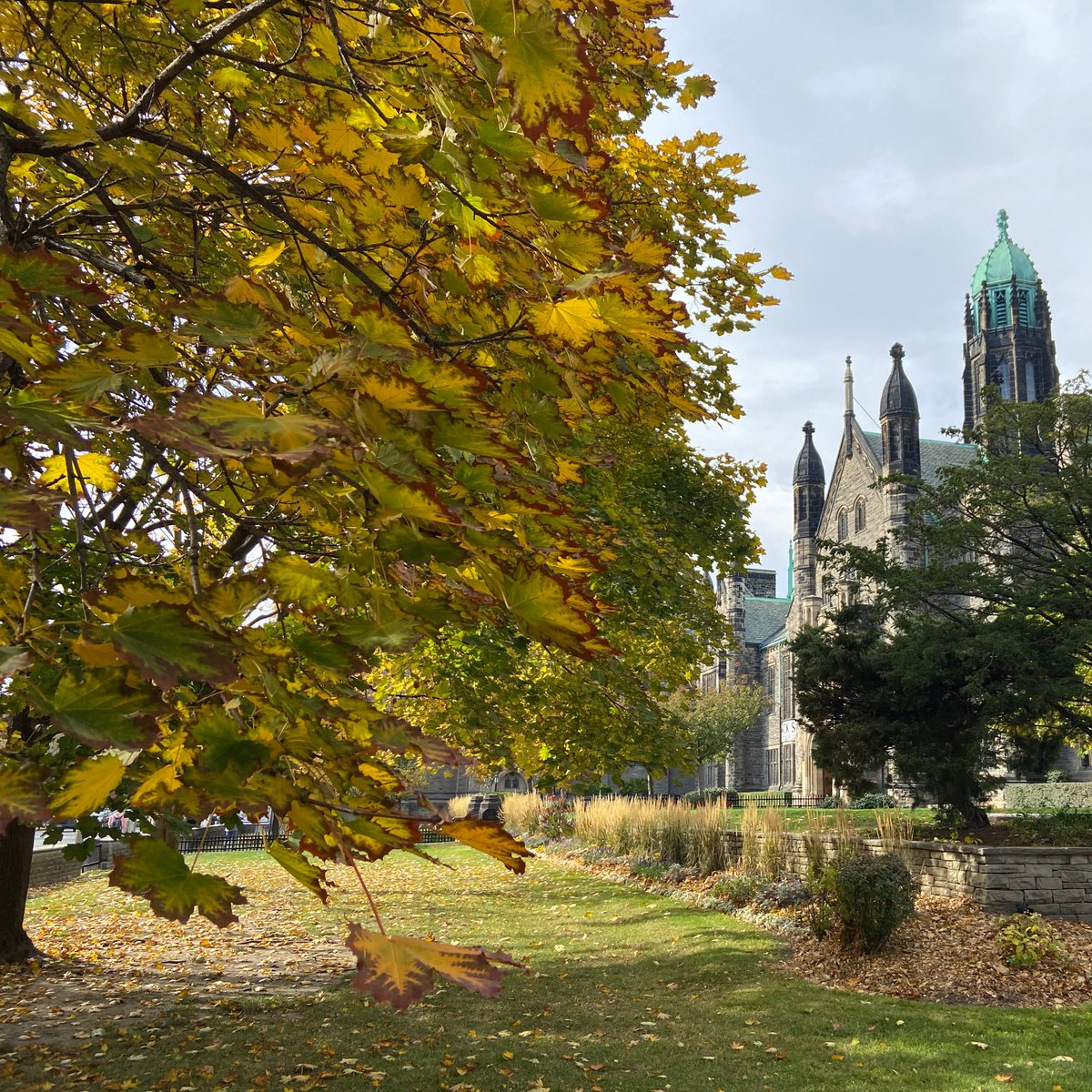Trinity_College's tweet photo. 🍂 Gorgeous fall foliage around the Trinity campus 🍂
#SpecialSpacesatTrinity https://t.co/gX2l0ukKpe