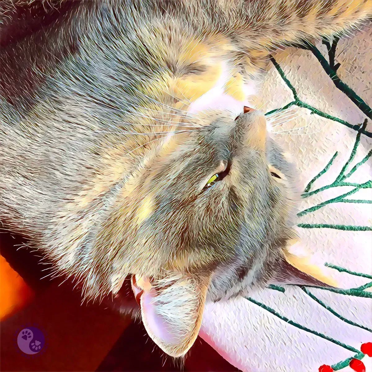 WayofCatsbook's tweet photo. NEW POST! Let Expectations Go, experience is better. - Love at Way of Cats https://t.co/hKu1gd6HMi
We can change bad behavior to better strategies. But we can't change this cat.
#CatsOfTwitter #CatLovers #CatChoosing #HumanTraining https://t.co/sfl0HMf4Ae