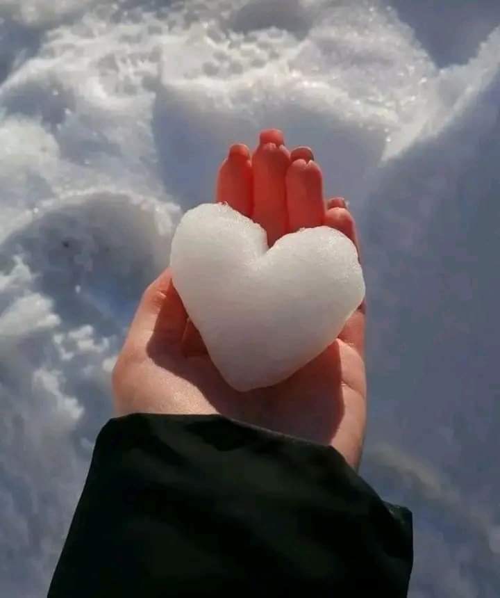 ما يجعل أرواحنا دافئة ..
هو إحاطتها بالقلوب التي تنظر لنا بحب .. 
يدققوا في تفاصيلنا الصغيرة حباً وليس تطفلاً .. 
يعرفوا كيف يسكنون أرواحنا ..
وأي جرحٍ يداوى .. وأي فراغ يملأ 💙🦋💜