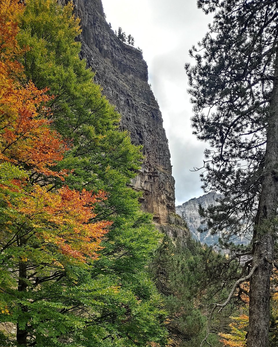Valle de Ordesa
🧡❤💛💜🧡❤💛💜
Otoño 🍁🍂 🍁🍂🍃🍁🍂