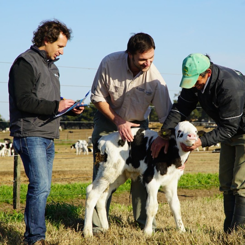 Boehringer_AH's tweet photo. Over 820 million people today don't have enough to eat, yet 20% of farm animals are lost to preventable disease. We need prevention &amp; a holistic view on health to bring #FoodSecurity to communities around the world. Learn more about why #OneHealth matters here. 

#OneHealthDay