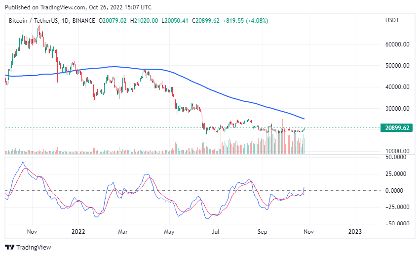 Racopa_TR's tweet photo. #btc #bitcoin $btc

25k is the most important level... https://t.co/Vd9zbJ5MAz